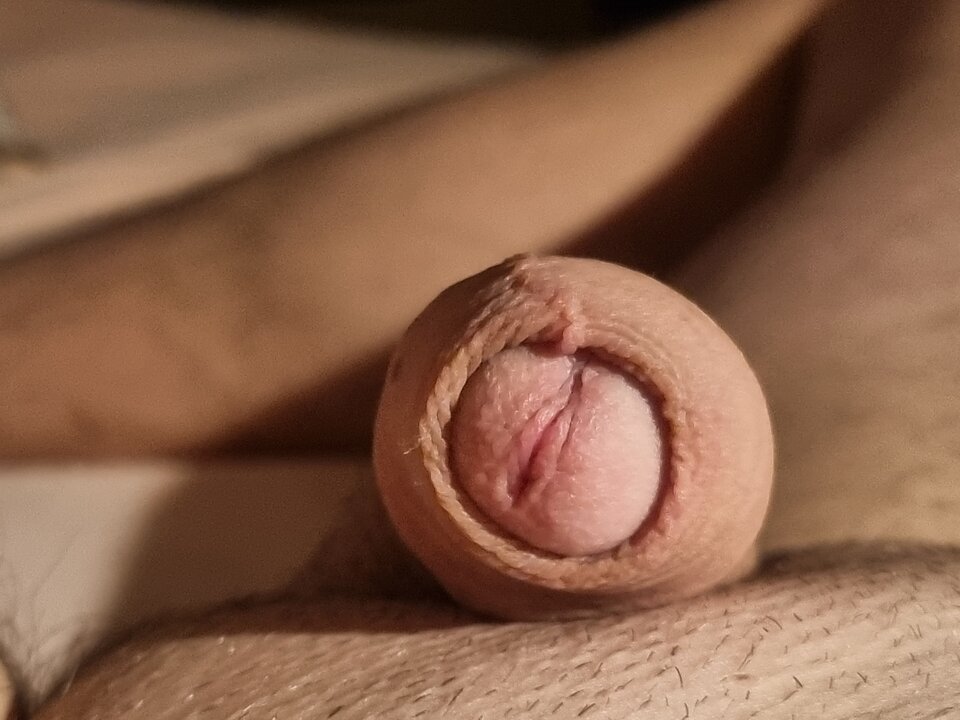 16702680711141151653015489926690.jpg - Cropcraked1