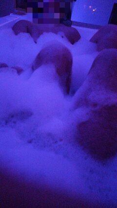 IMG_20221205_210149.jpg