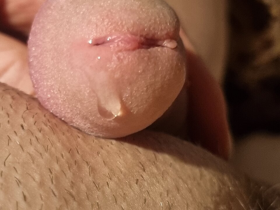 16702756360916573563375413124740.jpg - Cropcraked1