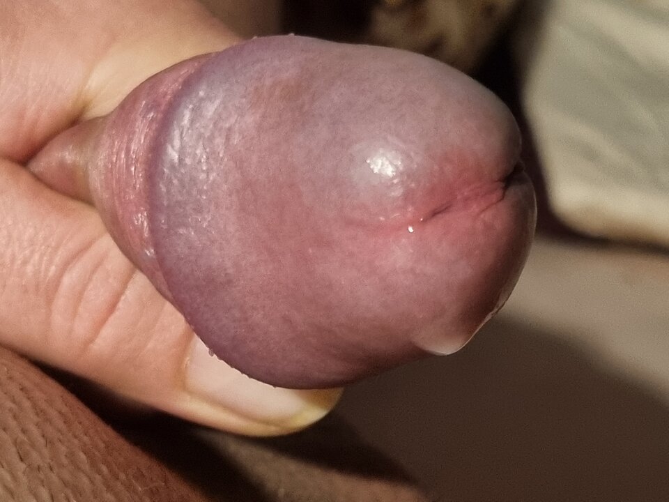 16702756822202195989593873982141.jpg - Cropcraked1