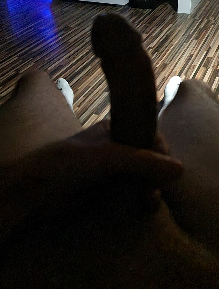 Dark horse  - TakiOto69