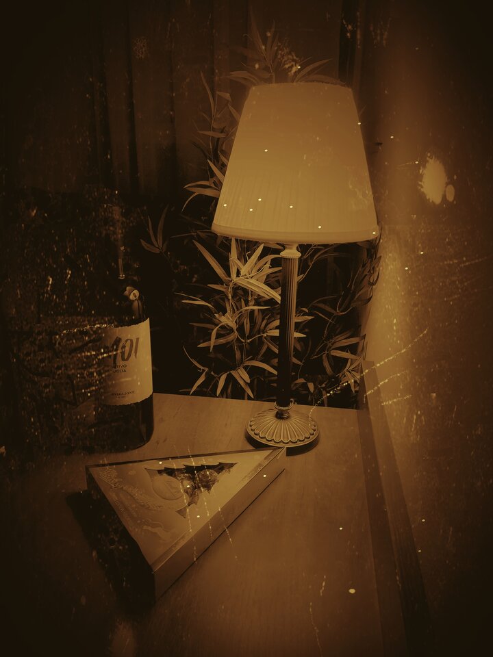 IMG_20221206_194212.jpg - SexTraveling