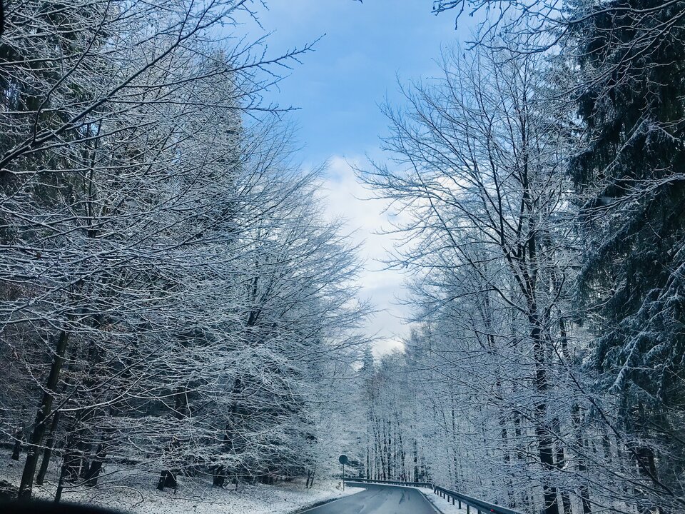 C11C95F9-0695-470D-8126-4168C70A0387.jpeg - GoOdGodess