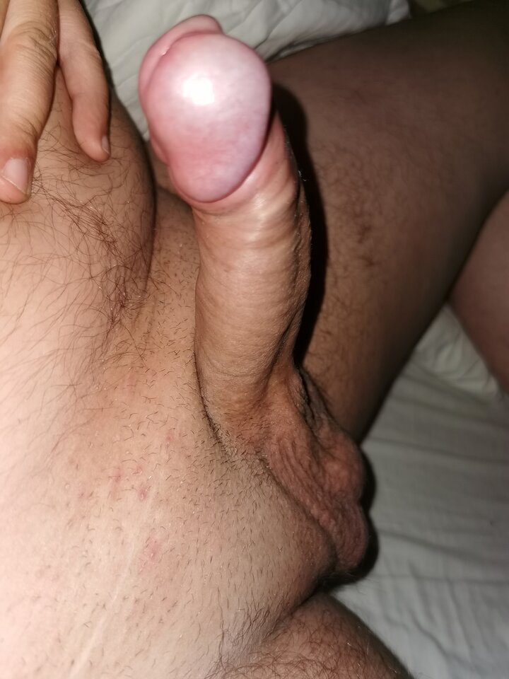 IMG_20200813_232806.jpg - Animalek7