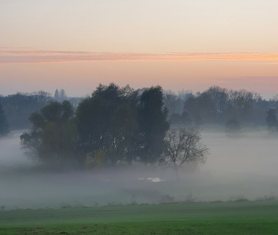 20221030_162731.jpg - dorjan6na9