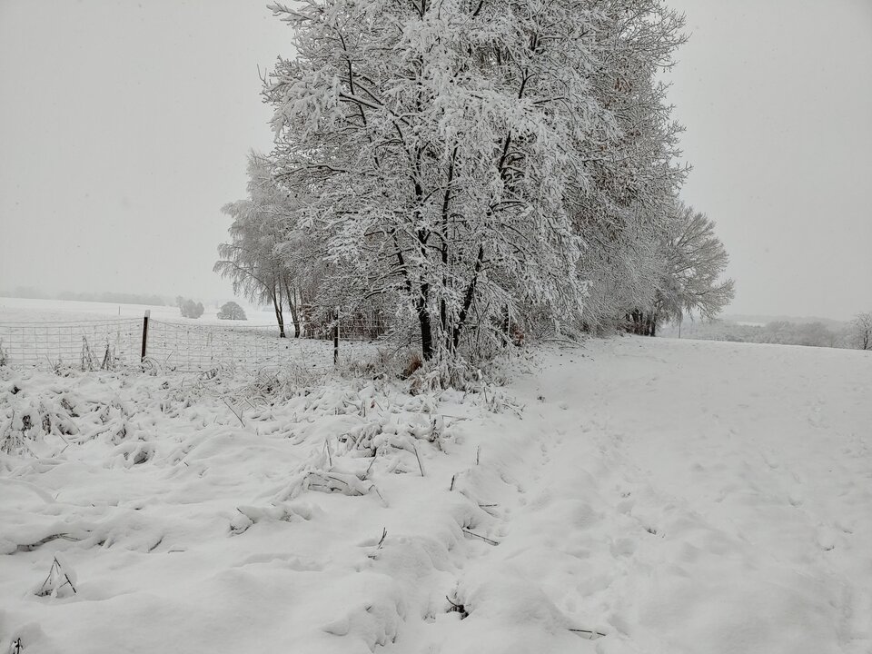 20221208_092058_HDR.jpg - bobb2