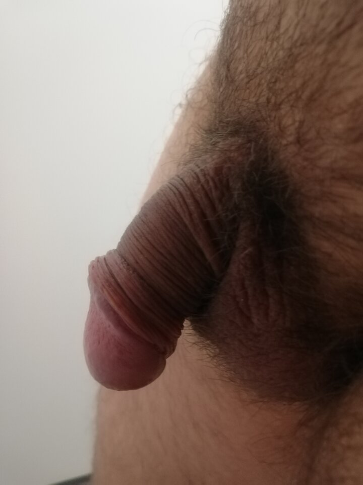 IMG_20221208_160631.jpg - Maxi1001