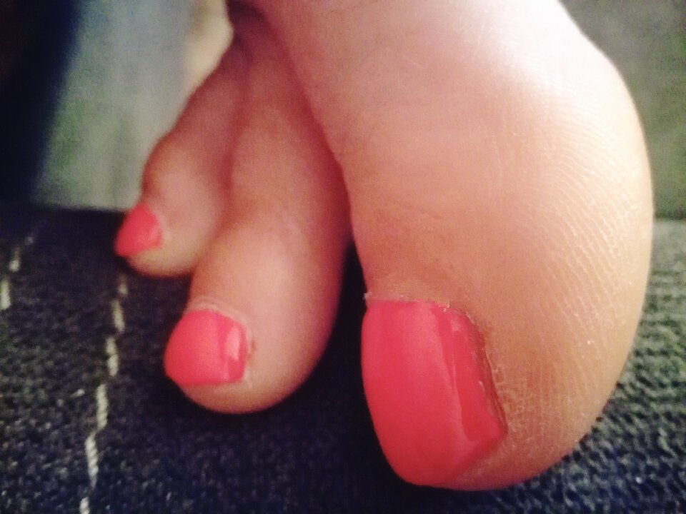 IMG_20221209_165043.jpg - stopkaZkundlem