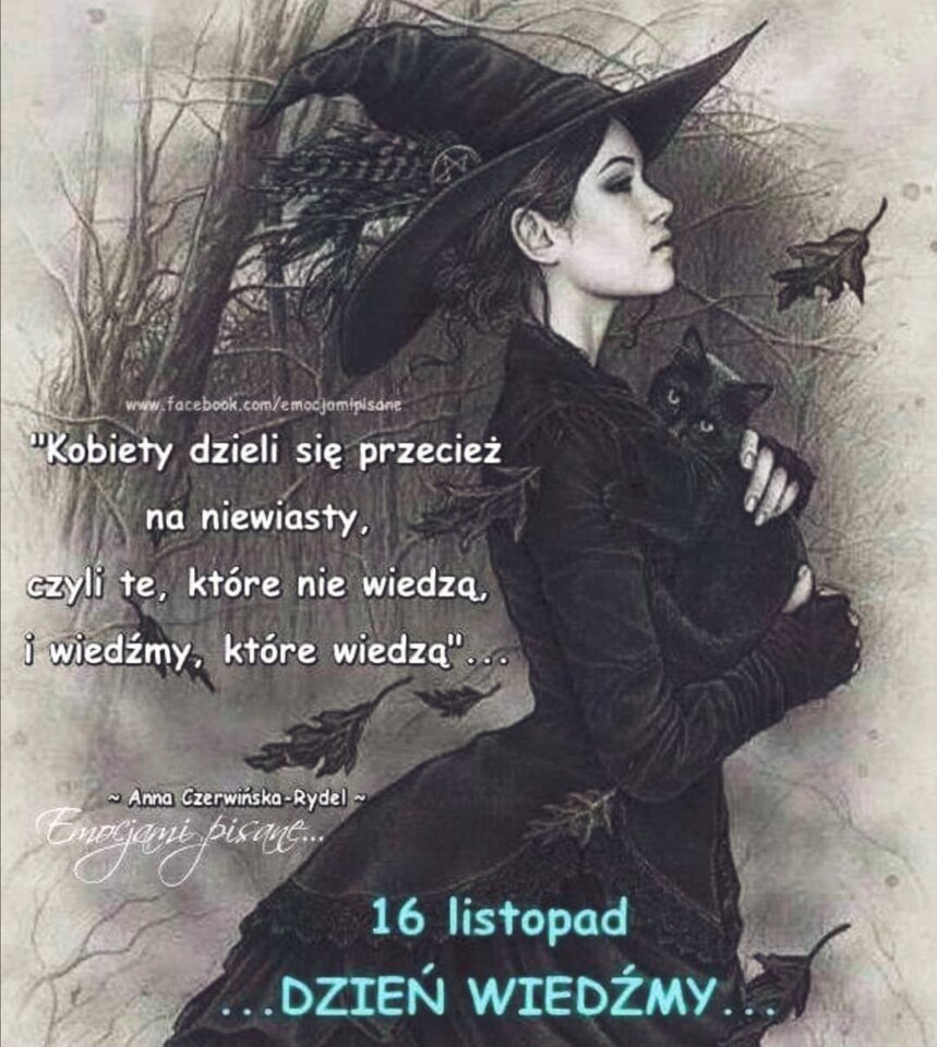 125761882_190426209320962_4382154976661536462_n_edit_63264942944 - wredota1987