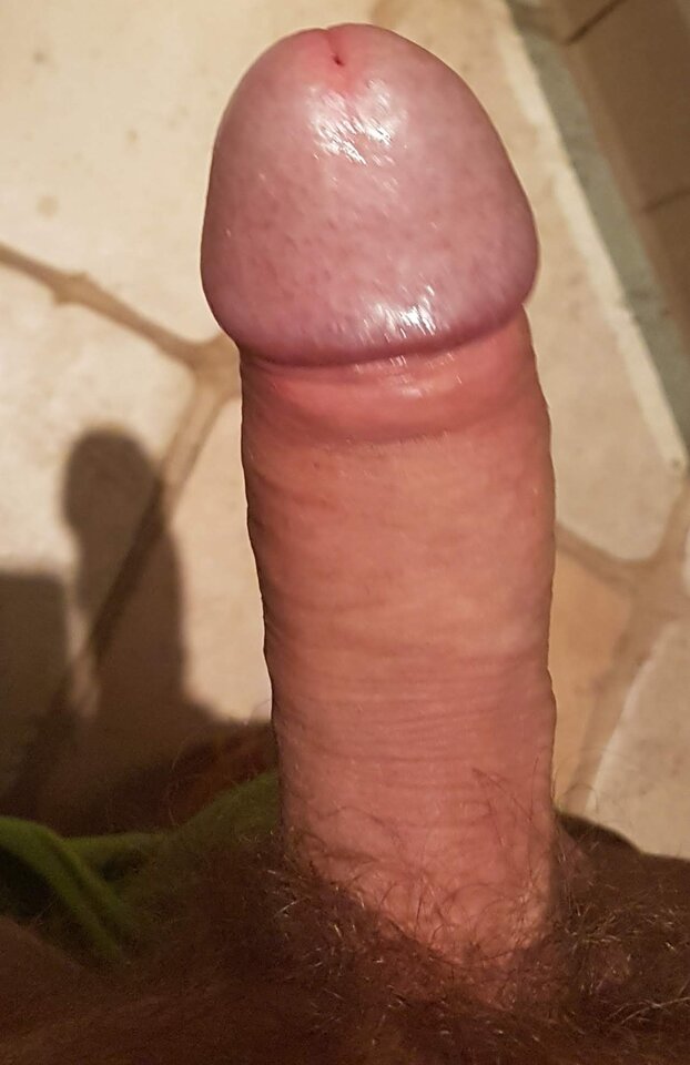 20180806_164222.jpg - wrocarek50