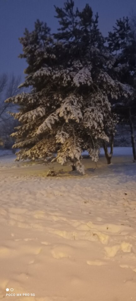 Zamiast cipki - Napaleni75