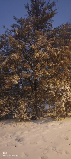 Gdy za dużo cycków