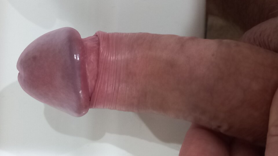 20221212_064351.jpg - andreas222