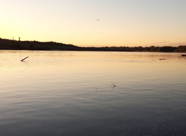 20221212_160505.jpg - Pan123P