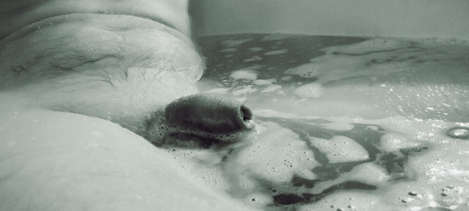 IMG_20221212_201343.jpg - belton50000