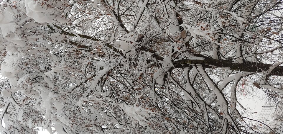 20221211_143645_HDR.jpg - Xmienna77