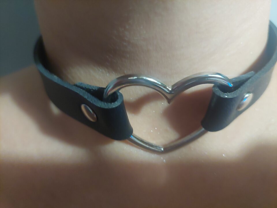 20221213_191822.jpg - novitta