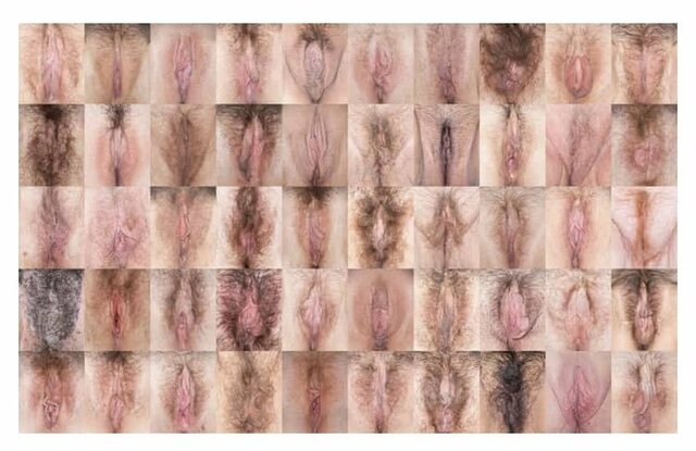 Dy_GI0XXcAAjogO.jpg - TeddyBearXXL