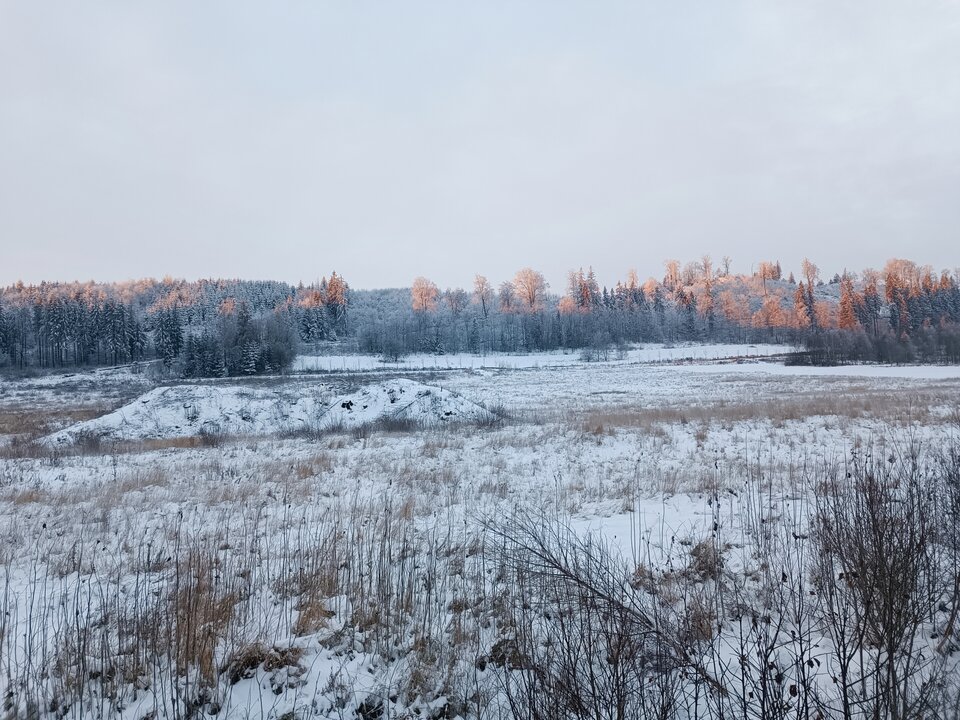 IMG_20221214_080843.jpg - zobaczyc92