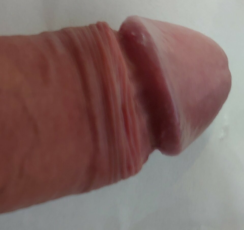 _20220919_140239.jpg - adaszwinnyjezykk