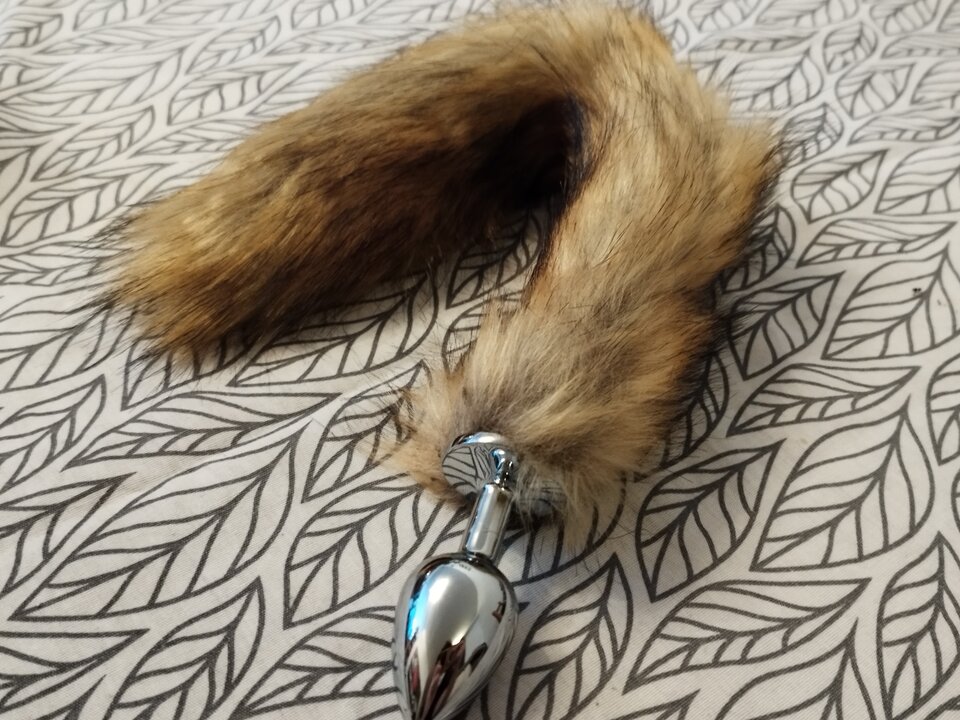 Fox 🦊 - kredkaqlorowa