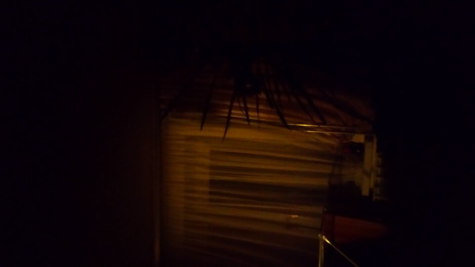 1671163281255995870310.jpg - skierniewiak60