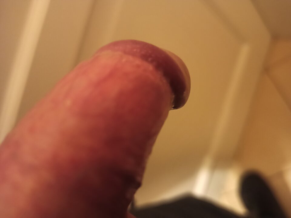 16711807336721710613919857172402.jpg - Qrvarwawa