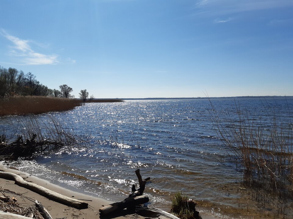 20220417_151223.jpg - torii99