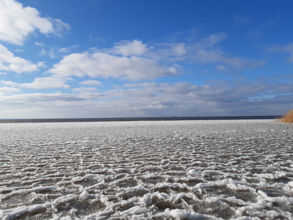 20210131_132604.jpg - torii99