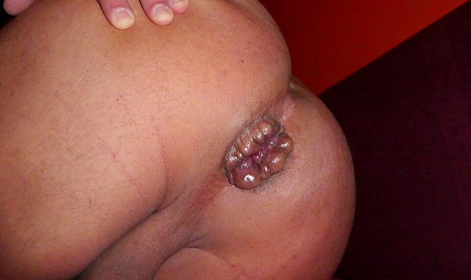 P1000814.JPG - analizator29