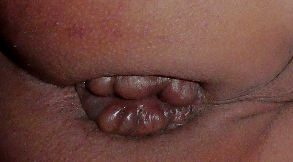 P1000809.JPG - analizator29