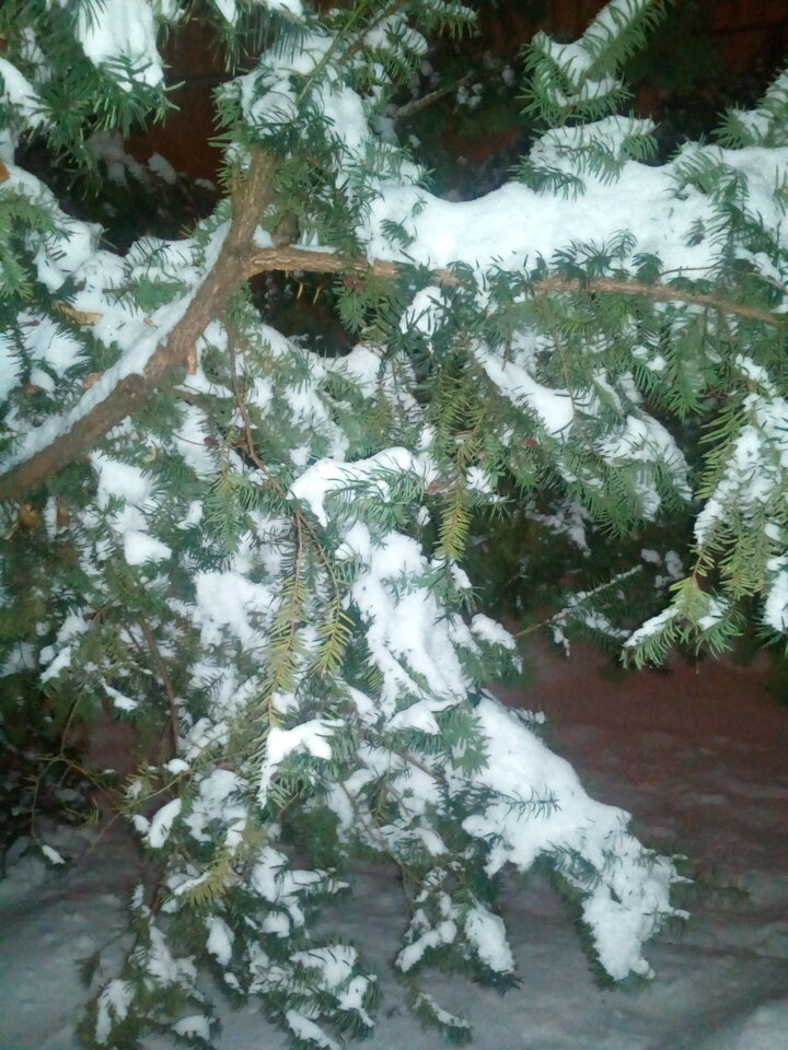 1671255738678-6883250.jpg - krzysm16