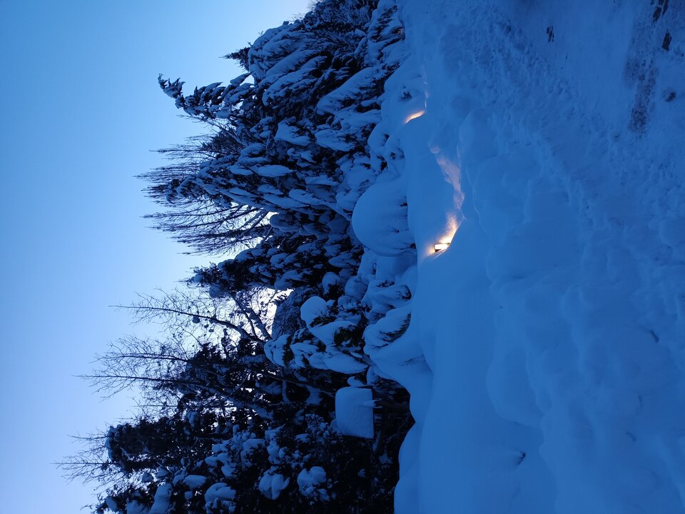 20221214_065943.jpg - Tam1