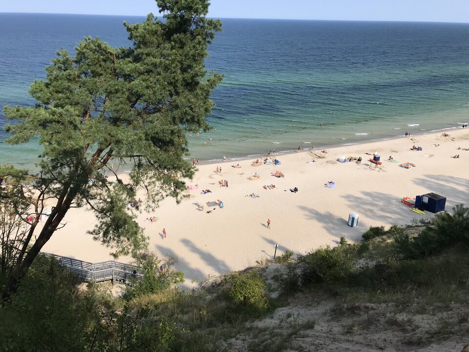 3B23944D-AF09-4FC6-A627-F52B670904FC.jpeg - meastroooo