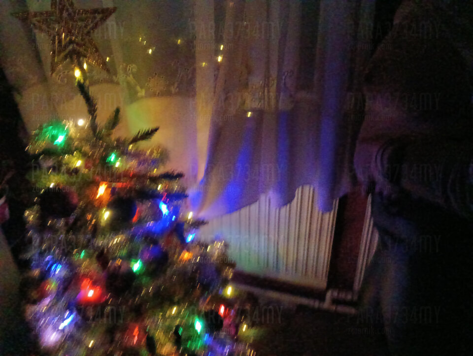 IMG20221217204746.jpg - PARA3734my