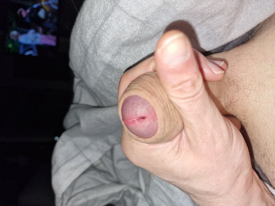 1000000224.jpg - info1