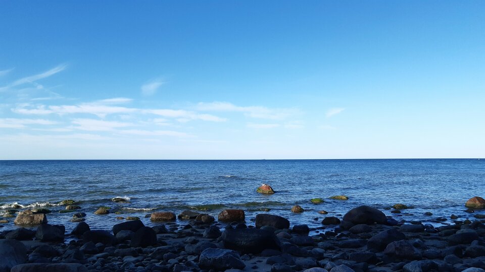 20221007_145153.jpg - torii99