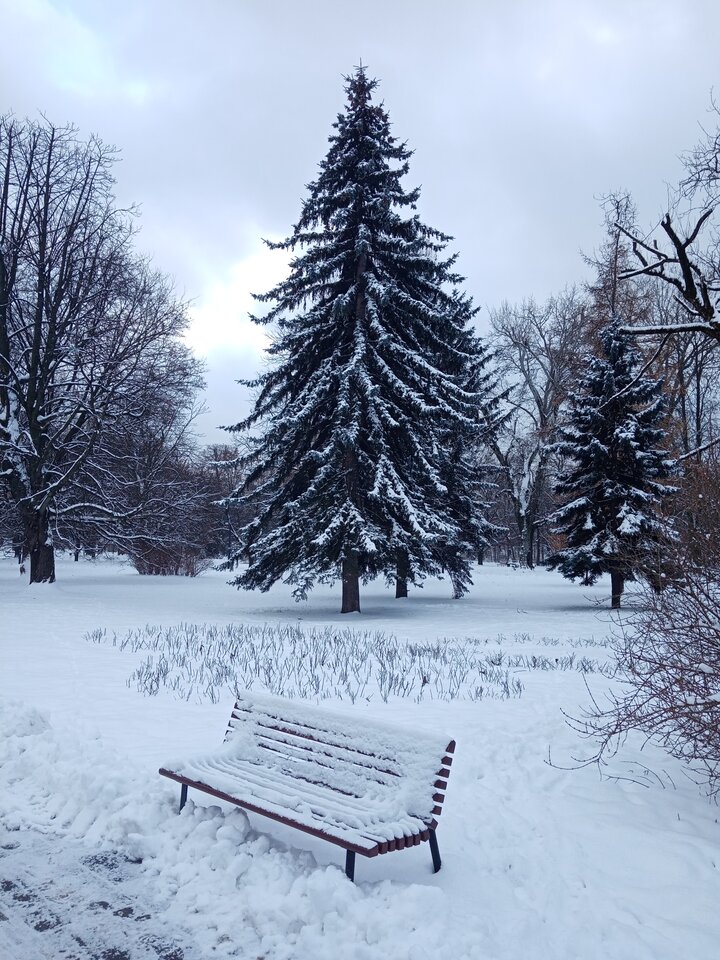 IMG_20221213_123700.jpg - Casanova2022