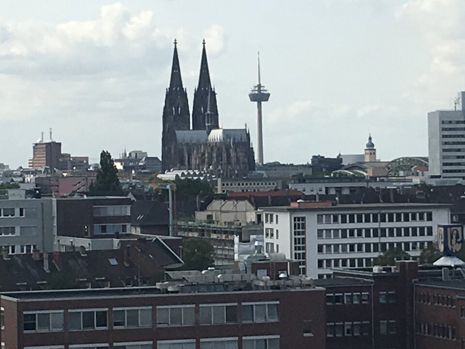 9B0942B8-ADDE-4499-99E8-EFA733EDD301.jpeg - Henryk1