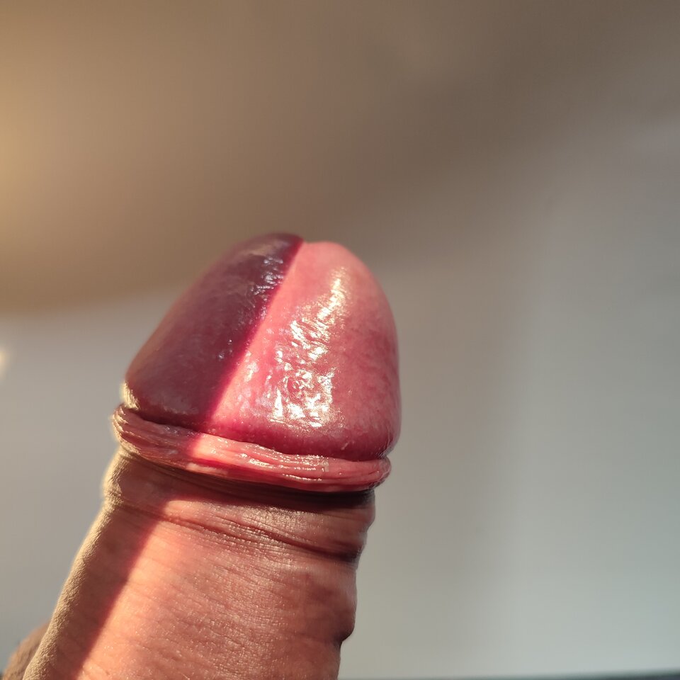 IMG_20221219_082521.jpg - Luimen