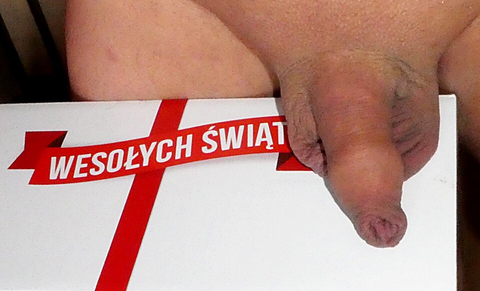 P1000840.JPG - analizator29