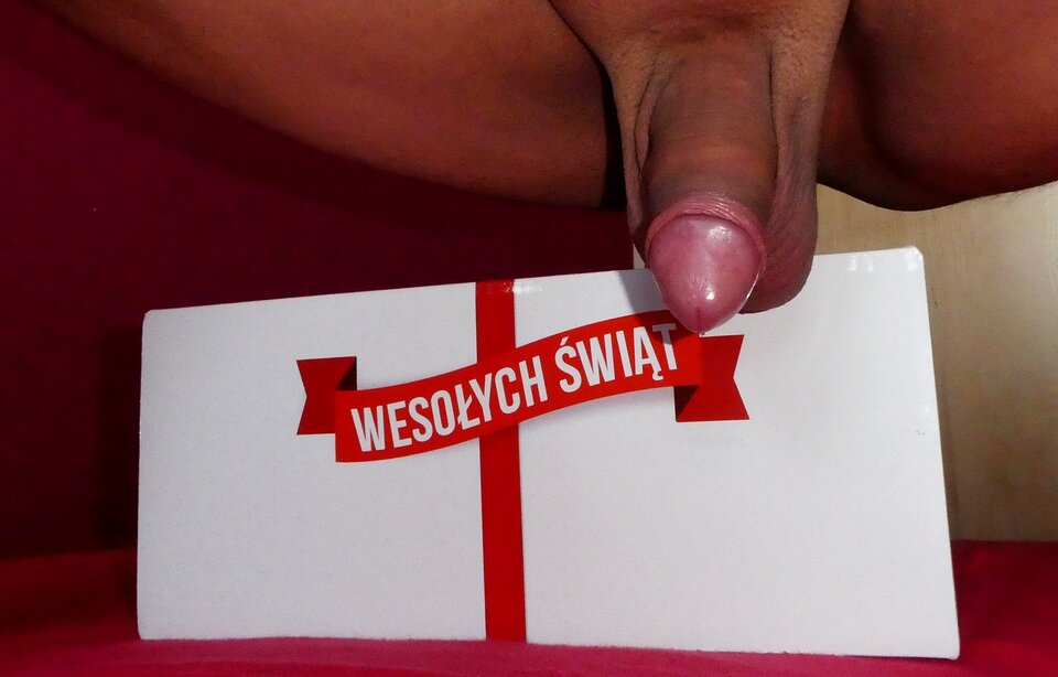 P1000824.JPG - analizator29