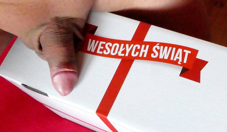 P1000844.JPG - analizator29