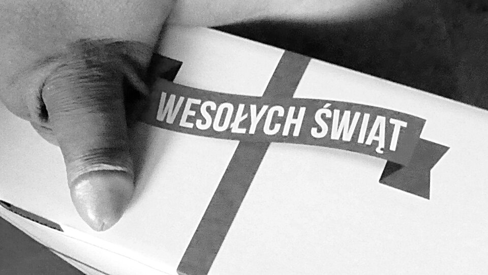 P1000845.JPG - analizator29