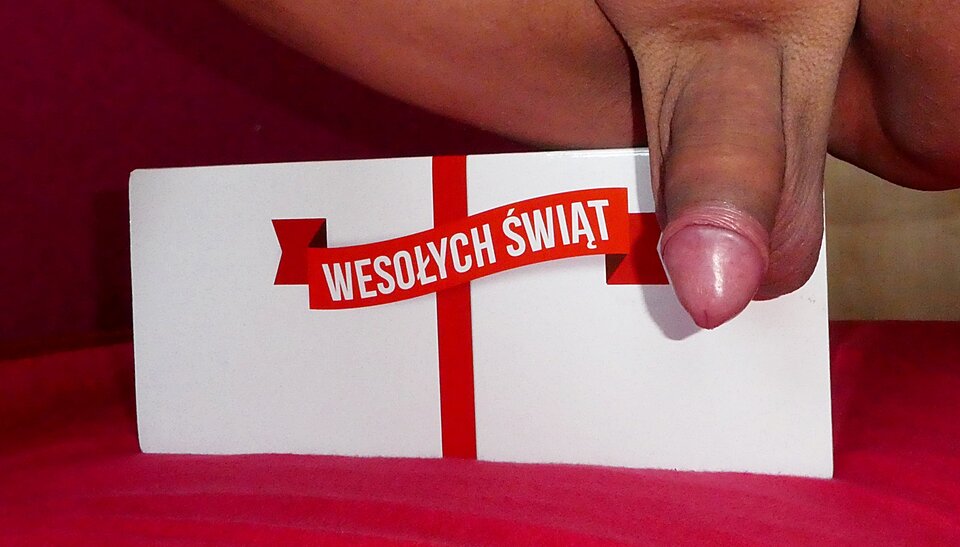 P1000825.JPG - analizator29