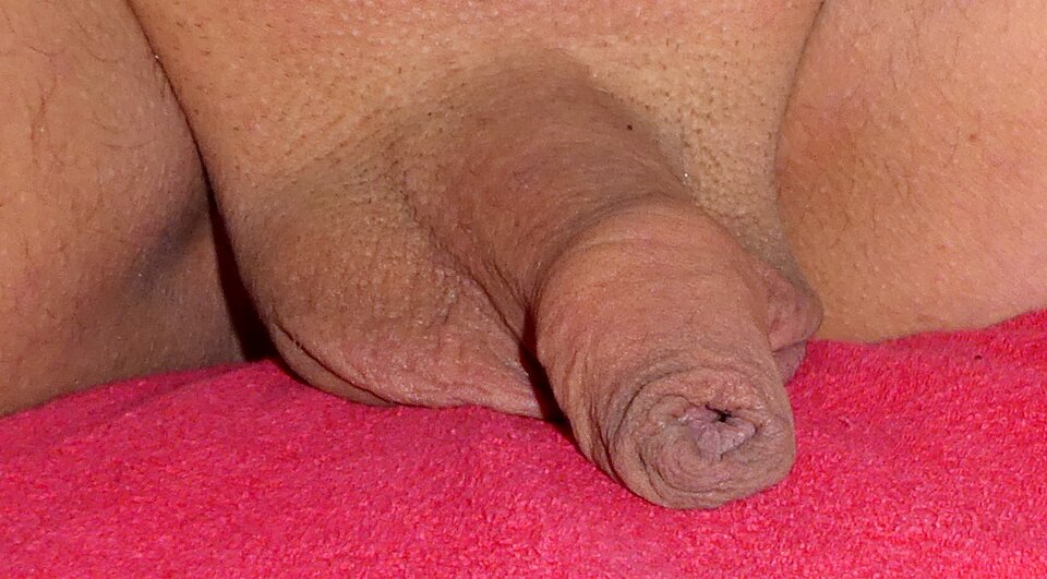 P1000839.JPG - analizator29