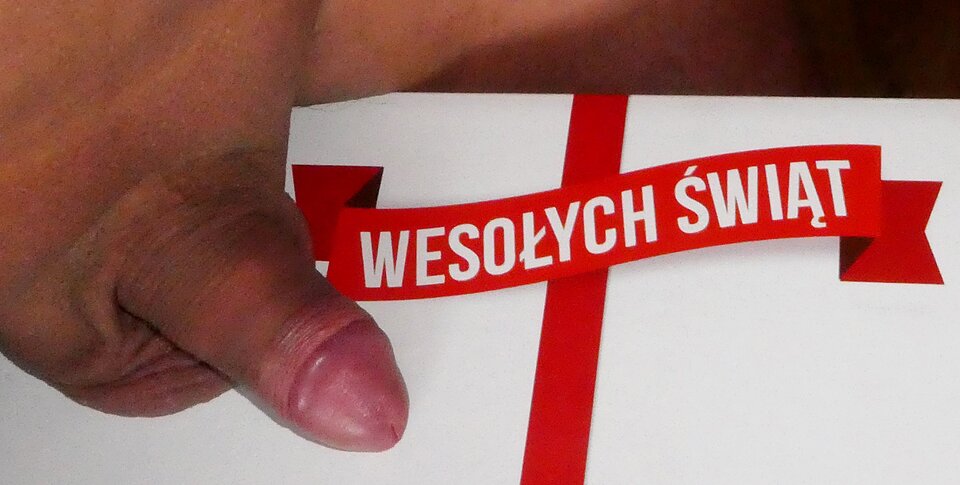 P1000843.JPG - analizator29