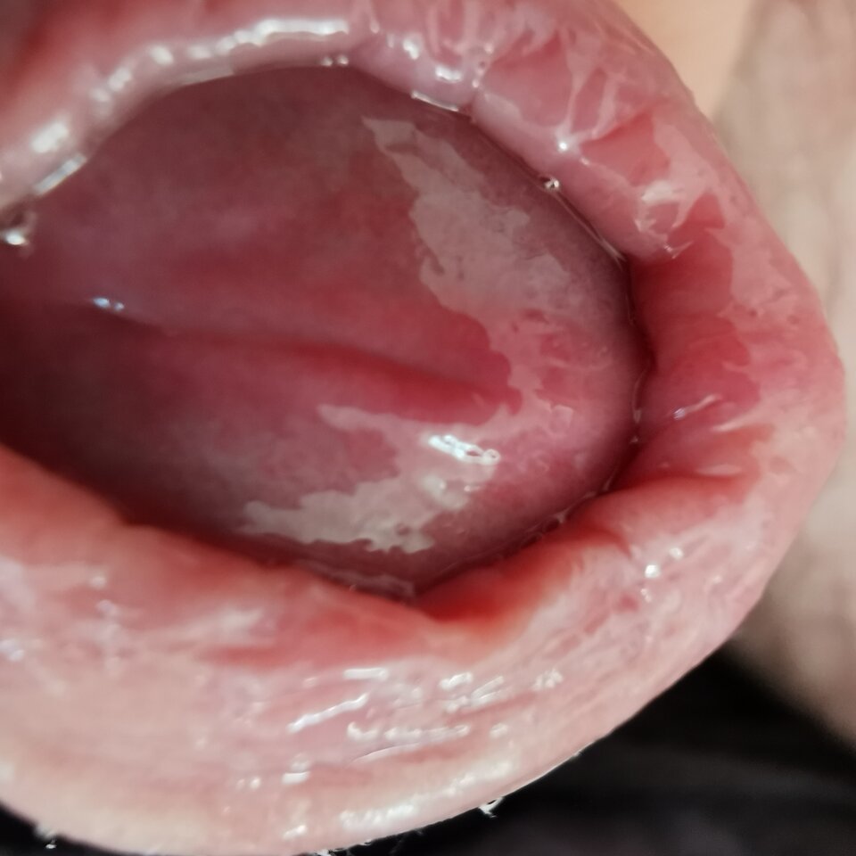 IMG_20221219_112856.jpg - Zi0001