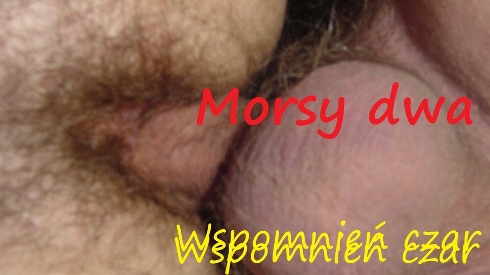 Wspomnień czar. - Morsy_dwa