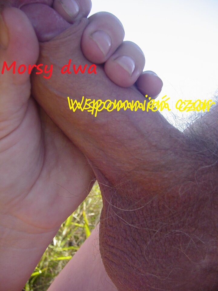 Wspomnień czar. - Morsy_dwa